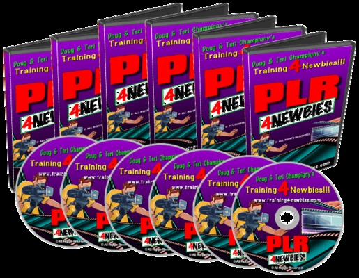 Product picture PLR For Newbies - Make Money From Home